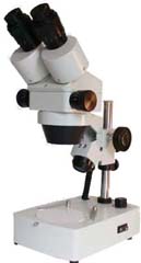 �̿�׃���wҕ�@΢�RXTL-2400