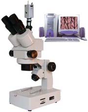 �̿��wҕ�@΢�RXTL-3300C