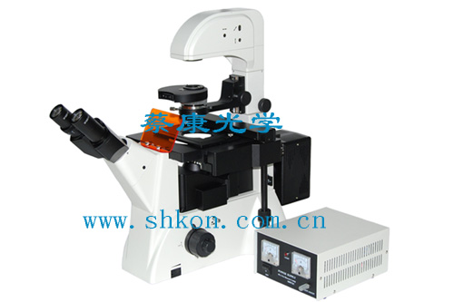 �����@΢�R